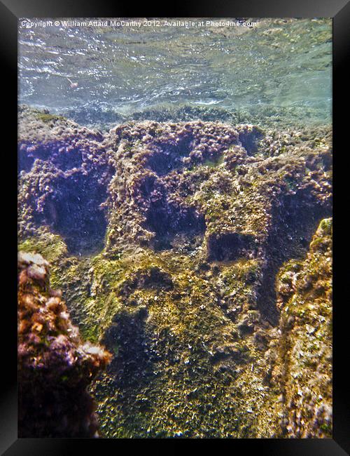 Underwater Punic Tombs Framed Print by William AttardMcCarthy