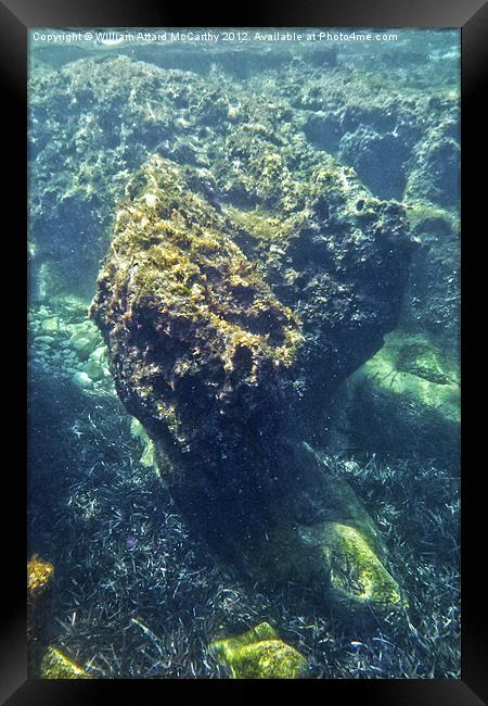 Underwater Rock Framed Print by William AttardMcCarthy