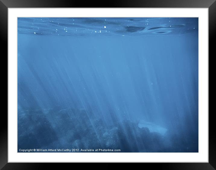 Underwater World Framed Mounted Print by William AttardMcCarthy