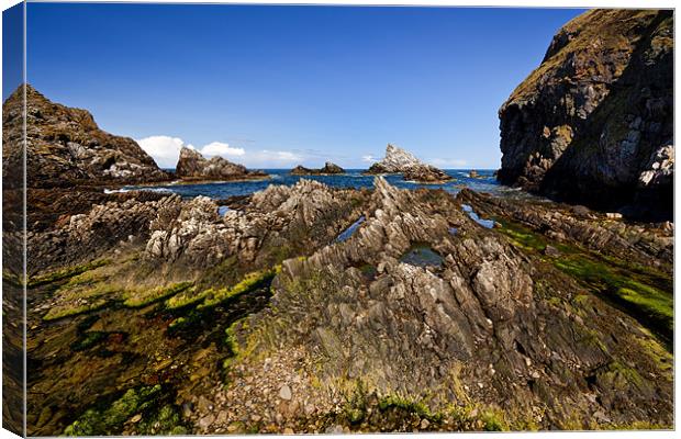 Rocky Seascape in Aberdeenshire Canvas Print by Steven Clements LNPS