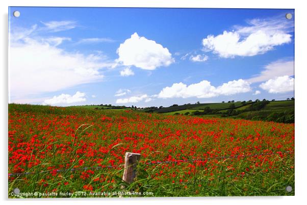 Poppy Field 2.Pembrokeshire. Acrylic by paulette hurley