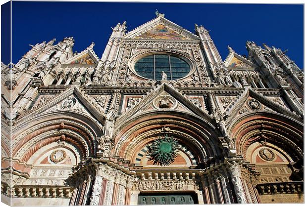 Siena Cathedral Canvas Print by Mary Lane