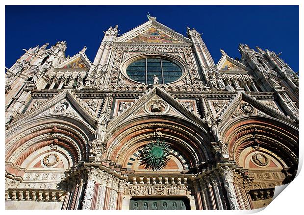 Siena Cathedral Print by Mary Lane