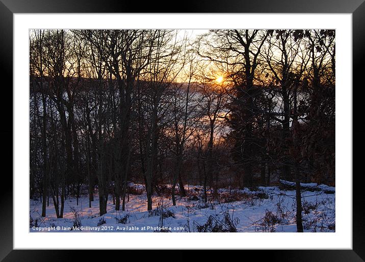 Sunset Through Trees Framed Mounted Print by Iain McGillivray