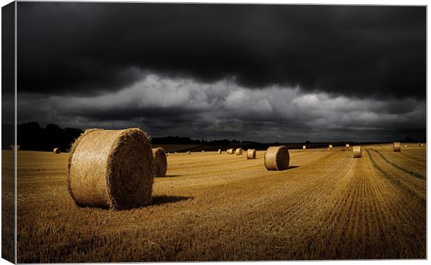 After the harvest Canvas Print by Robert Fielding