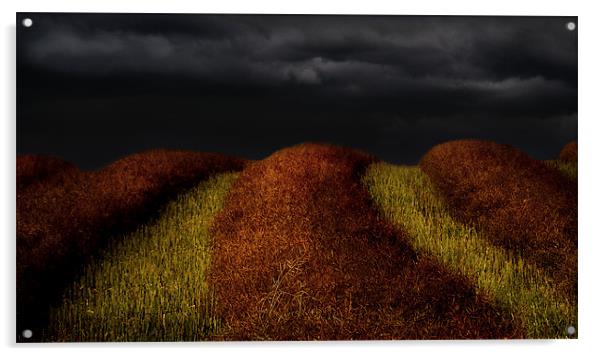 Lines in the fields Acrylic by Robert Fielding
