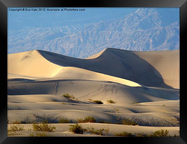 Death Valley Dunes 2 Framed Print by Eva Kato