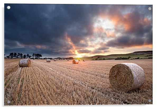Straw Bale Sunset Acrylic by Barry Maytum