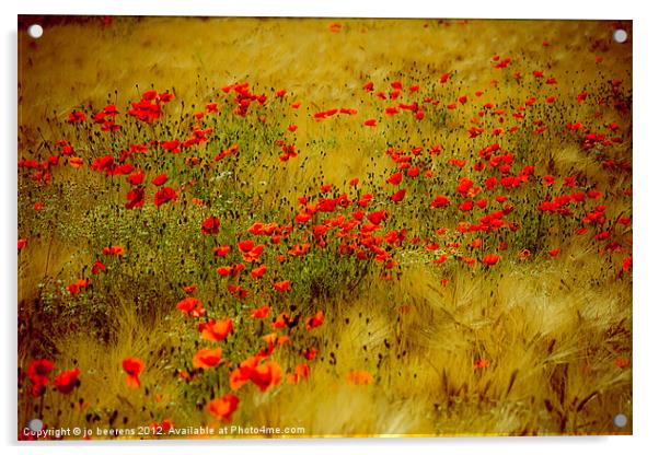 dots of red Acrylic by Jo Beerens