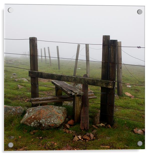 Hillside Stile Acrylic by Lee Osborne