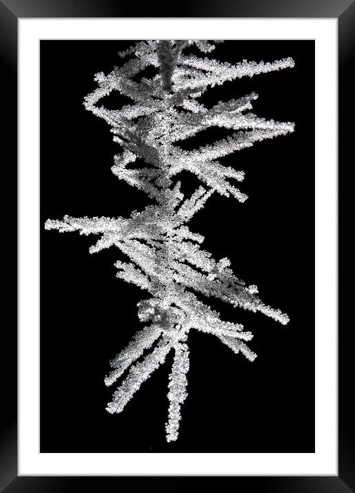 Cobweb Covered in Frost Crystals Framed Mounted Print by Steven Clements LNPS