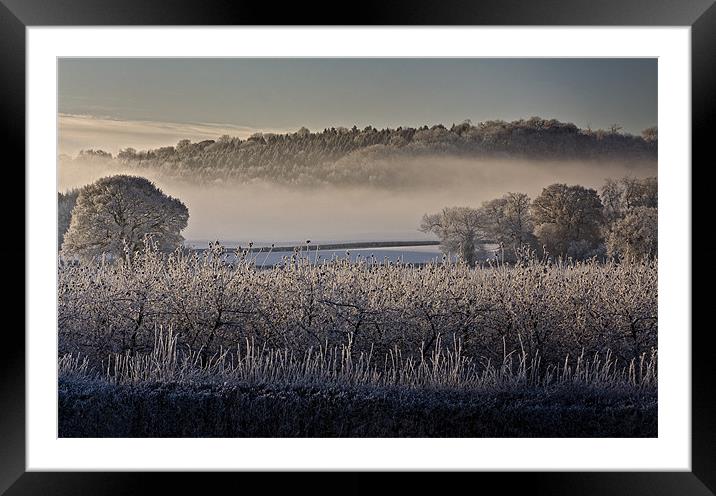 Frosty Misty Morning Framed Mounted Print by Steven Clements LNPS