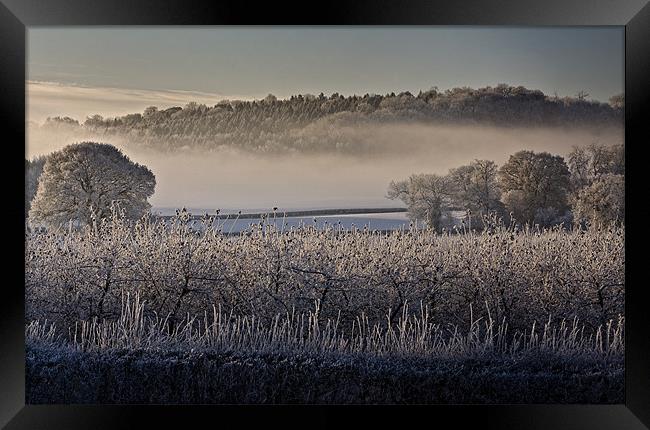 Frosty Misty Morning Framed Print by Steven Clements LNPS