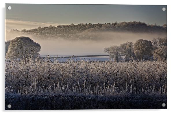 Frosty Misty Morning Acrylic by Steven Clements LNPS