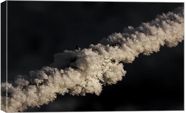 Frost Covered Barbed Wire Canvas Print by Steven Clements LNPS