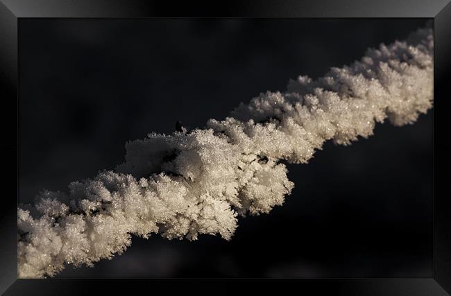 Frost Covered Barbed Wire Framed Print by Steven Clements LNPS