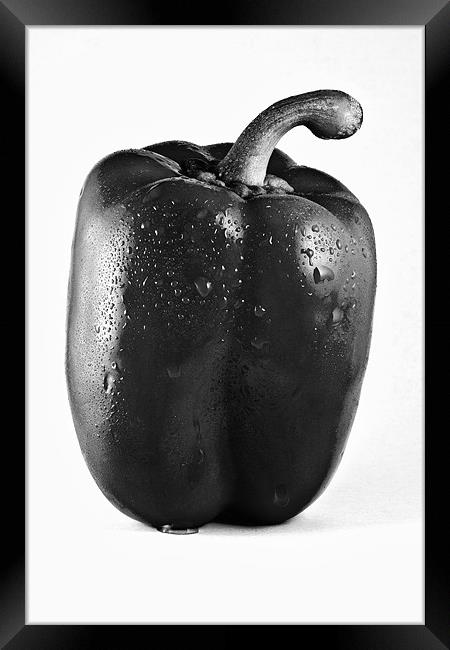 Wet Red Pepper in Mono Framed Print by Steven Clements LNPS