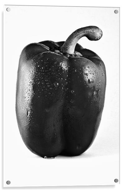 Wet Red Pepper in Mono Acrylic by Steven Clements LNPS