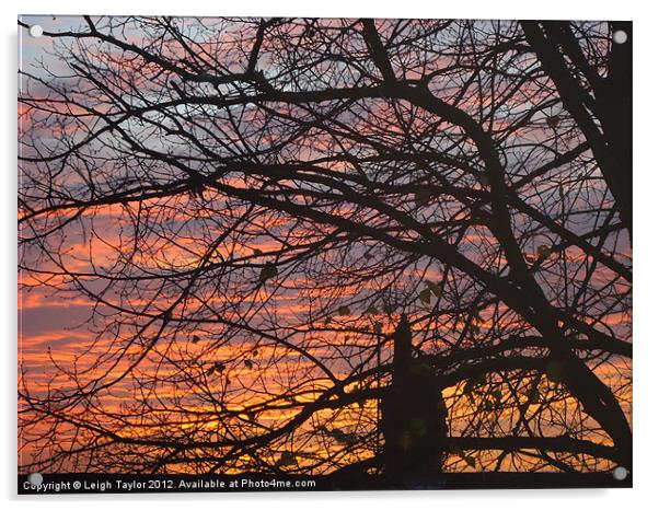 Red Sunset Acrylic by Leigh Taylor