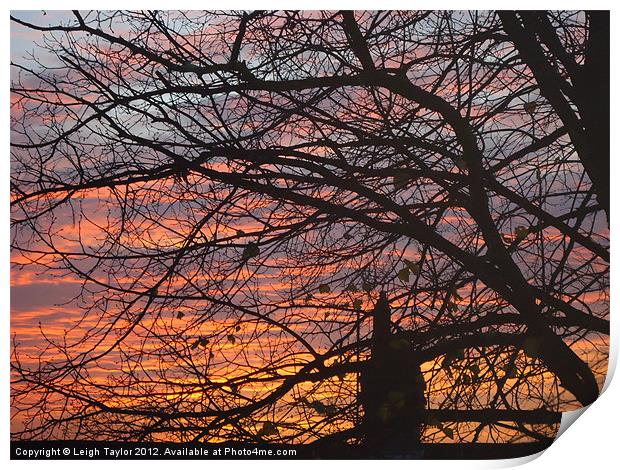 Red Sunset Print by Leigh Taylor