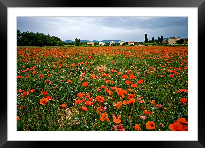 Poppy Field In Provence Framed Mounted Print by Jacqi Elmslie