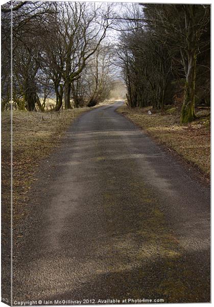 Country Lane Canvas Print by Iain McGillivray