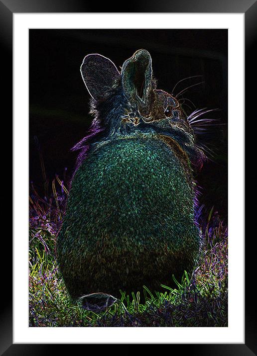 Glow in the dark rabbit Framed Mounted Print by Claire McQueen