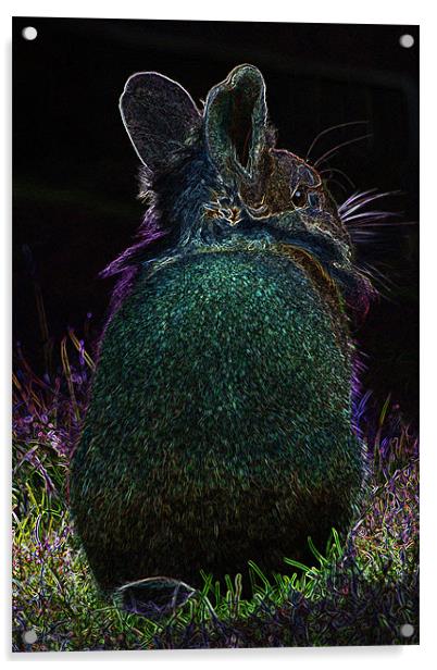 Glow in the dark rabbit Acrylic by Claire McQueen