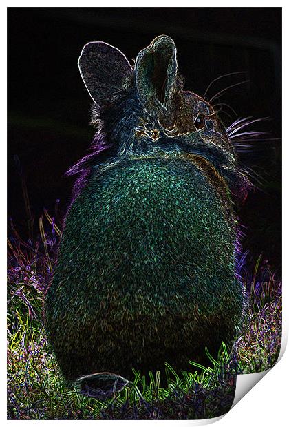 Glow in the dark rabbit Print by Claire McQueen