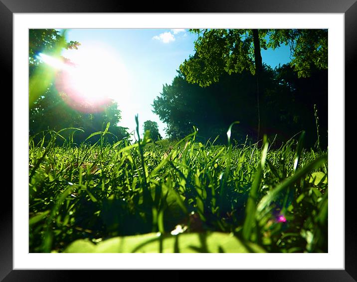 Through the Grass Framed Mounted Print by LucyBen Lloyd
