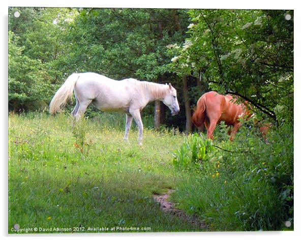 WILD HORSES Acrylic by David Atkinson