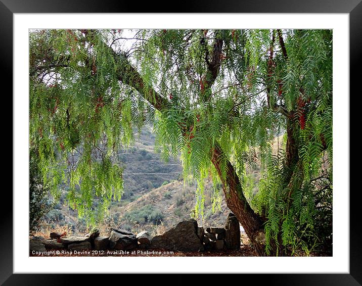 Arenas Mountains Framed Mounted Print by Fine art by Rina
