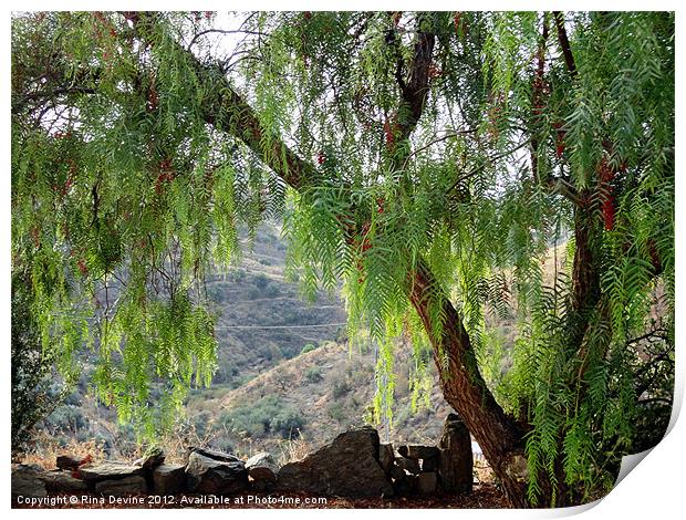 Arenas Mountains Print by Fine art by Rina