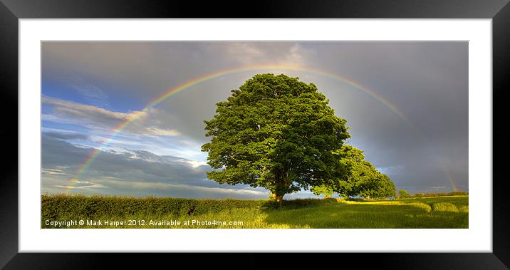 Rainbow over Oak tree. Framed Mounted Print by Mark Harper