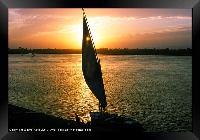 Faluka on Nile Framed Print by Eva Kato