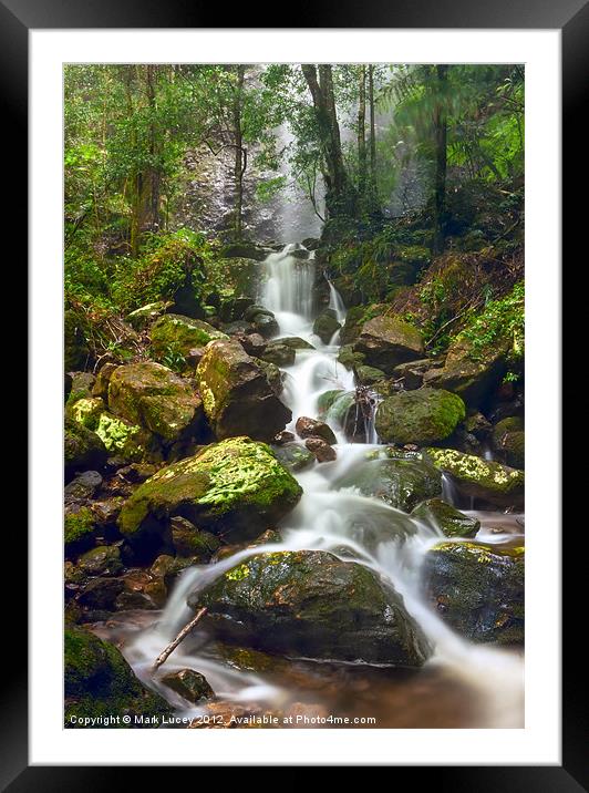 Mist in the Jungle Framed Mounted Print by Mark Lucey