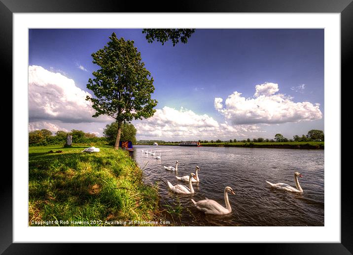 Swan River Framed Mounted Print by Rob Hawkins
