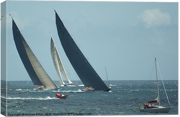 Big sails, big breeze Canvas Print by Andrew Driver