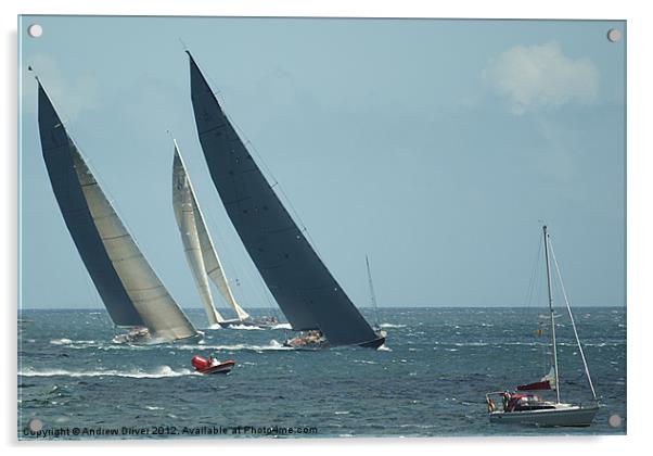 Big sails, big breeze Acrylic by Andrew Driver