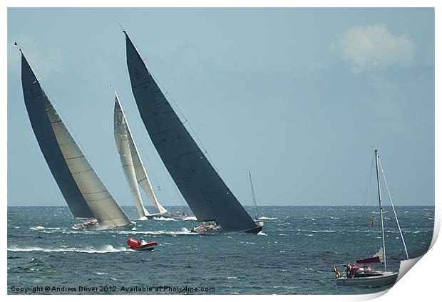 Big sails, big breeze Print by Andrew Driver
