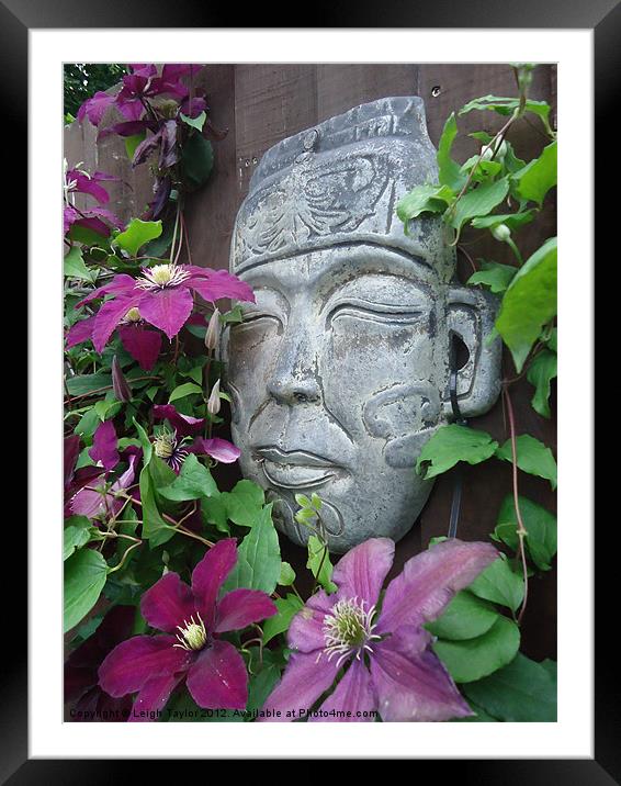 Buddha Flower Framed Mounted Print by Leigh Taylor