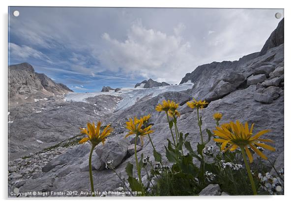 Alpine panorama Acrylic by Creative Photography Wales