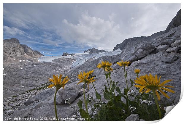 Alpine panorama Print by Creative Photography Wales