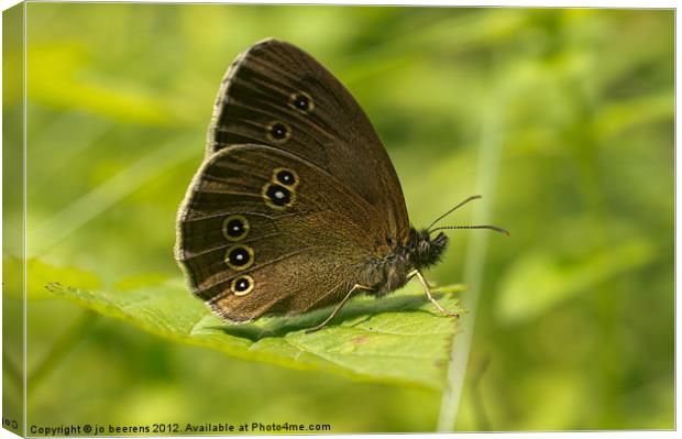 ringlet Canvas Print by Jo Beerens