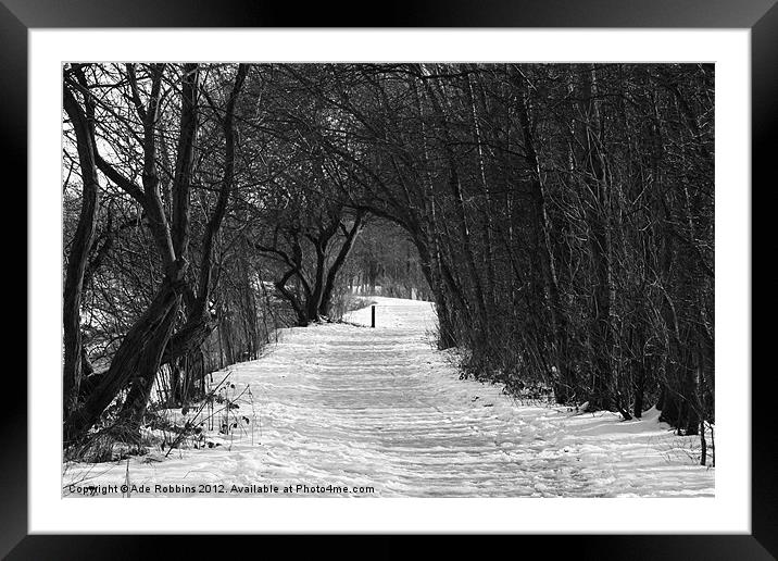 Winter Walk Framed Mounted Print by Ade Robbins