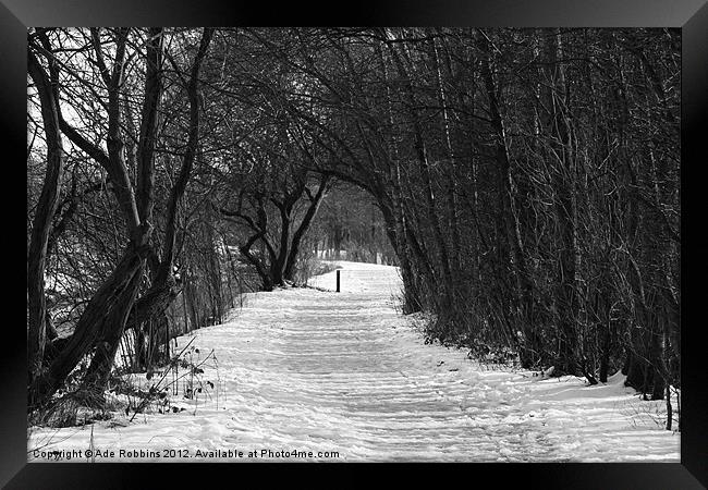 Winter Walk Framed Print by Ade Robbins