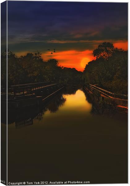 SUNSET AT THE OLD CANAL Canvas Print by Tom York
