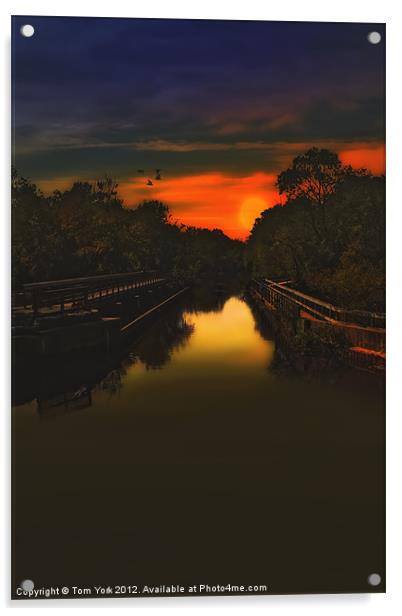 SUNSET AT THE OLD CANAL Acrylic by Tom York