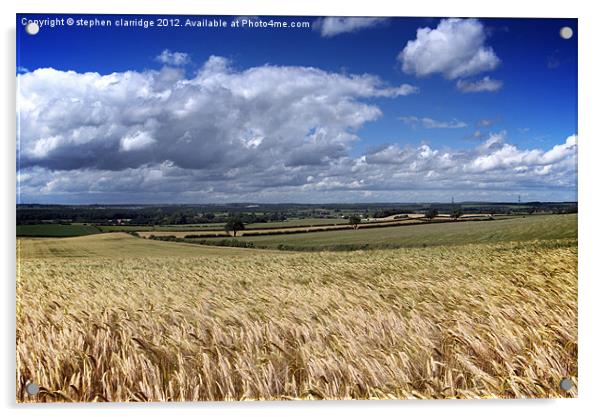 cornfields and blue sky Acrylic by stephen clarridge