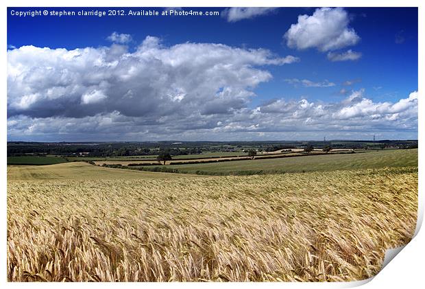 cornfields and blue sky Print by stephen clarridge